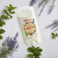 Old Spice GentleMan's Collection Deodorant, Lavender & Mint, 85G