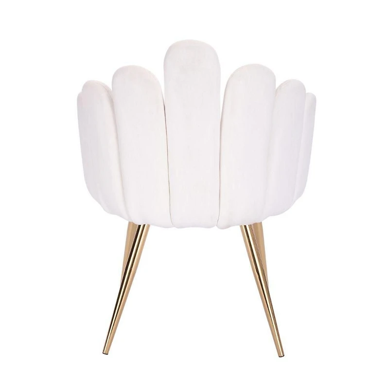 Chaise de salle à manger Domina Lot de 2-Classique Chaise légère moderne et confortable