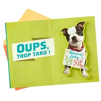 Hallmark Funny Birthday Card for Grandson (Puppy)