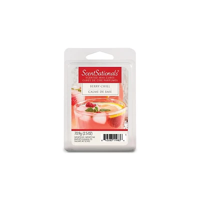 Cubes de cire parfumée ScentSationals - Calme de Baie 2,5 fois (70,9 g)