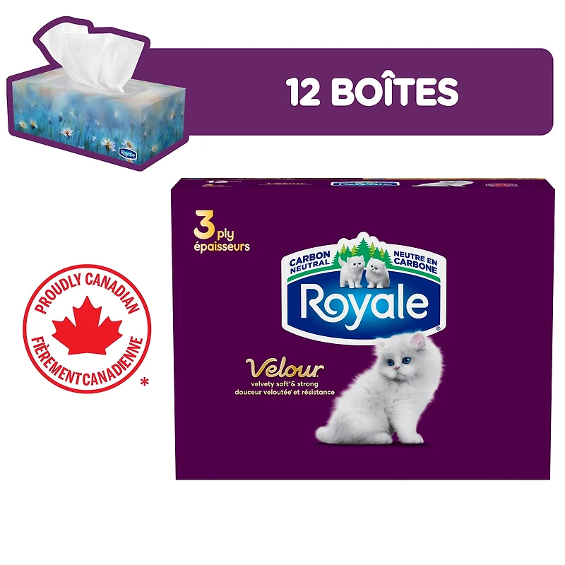 Mouchoirs Royale Velour, 12 boîtes, 82 mouchoirs par boîte
