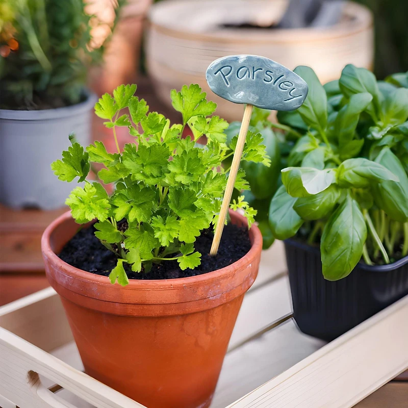 Hometrends  10'' Herb Marker Parsley