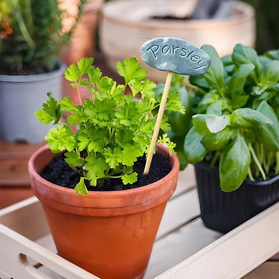 Hometrends  10'' Herb Marker Parsley