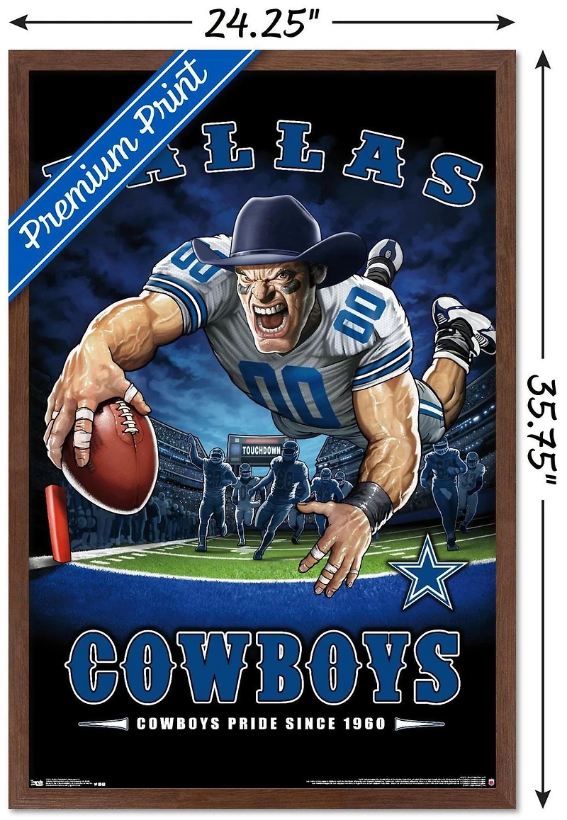NFL Dallas Cowboys - End Zone 17 Wall Poster, 22.375" x 34"