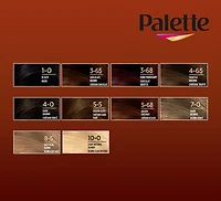 Palette Intensive Oil Care Couleur 5-68 Châtain Acajou