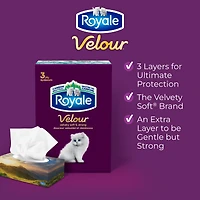 Royale Velour, 3 Ply Facial Tissue, 12 Flat Boxes, 82 Tissues per Box