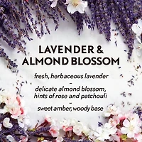 Air Wick Essential Mist Fragrance Oil Diffuser Kit, Lavender & Almond Blossom, 1 Diffuser + 1 Refill, Air Freshener