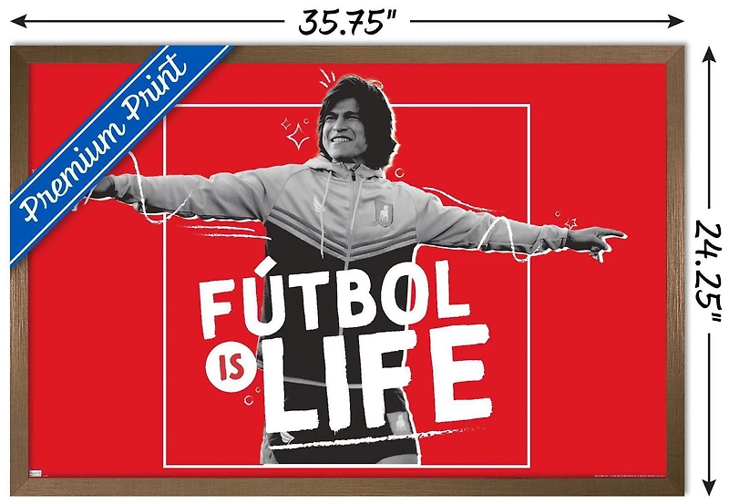 Ted Lasso - Le football c'est la vie