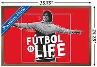 Ted Lasso - Le football c'est la vie