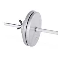 CAP Barbell Standard Cast Iron Weight Plate, 50 lb, Gray