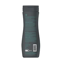 ATTITUDE super leaves, Shampoo & Body Wash, Black Willow & Aspen, 473 mL