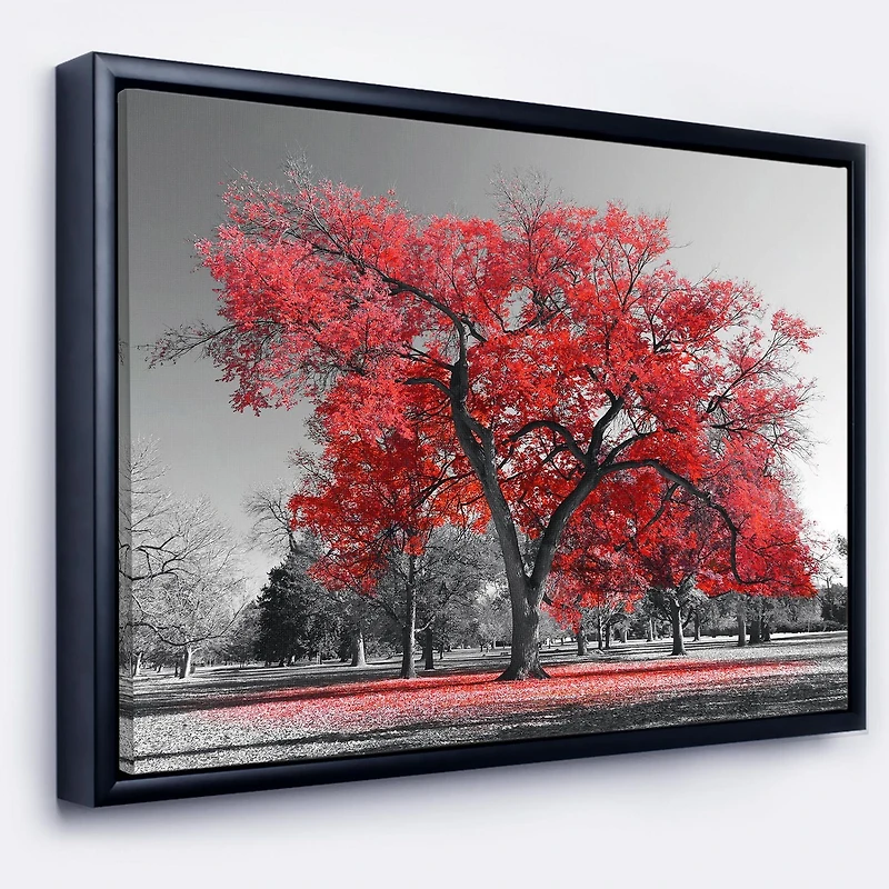 Designart Big Red Tree on Foggy Day FLOAT FRAME WALL ART
