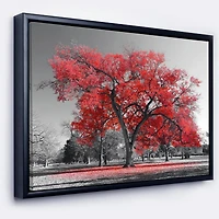 Designart Big Red Tree on Foggy Day FLOAT FRAME WALL ART