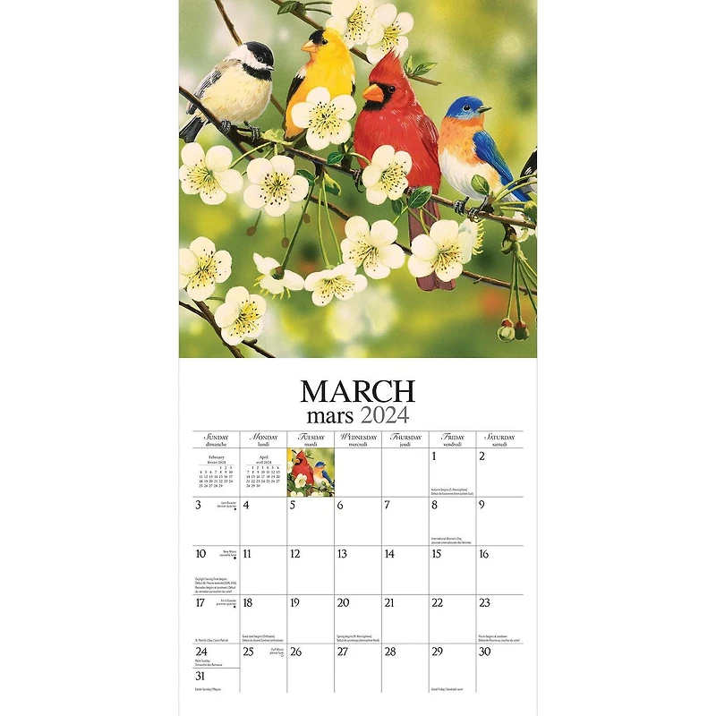 Hopper Studios Feathered Friends Amis a Plumes 2024 12x24 Inch Square Wall Calendar, 9781773728063