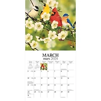 Hopper Studios Feathered Friends Amis a Plumes 2024 12x24 Inch Square Wall Calendar, 9781773728063