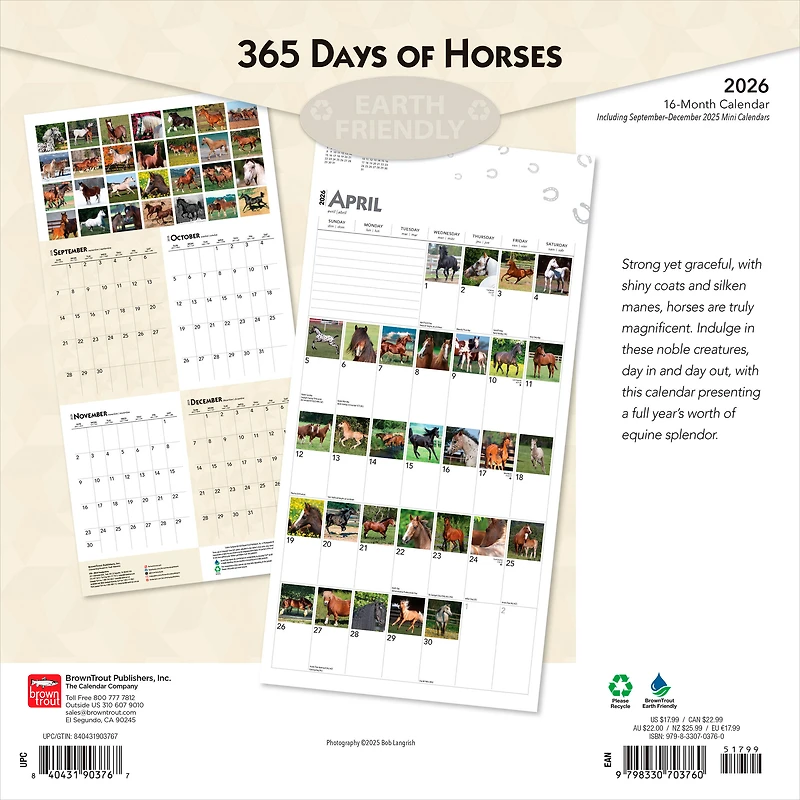 Horses, 365 Days of, 2026 Square Flap