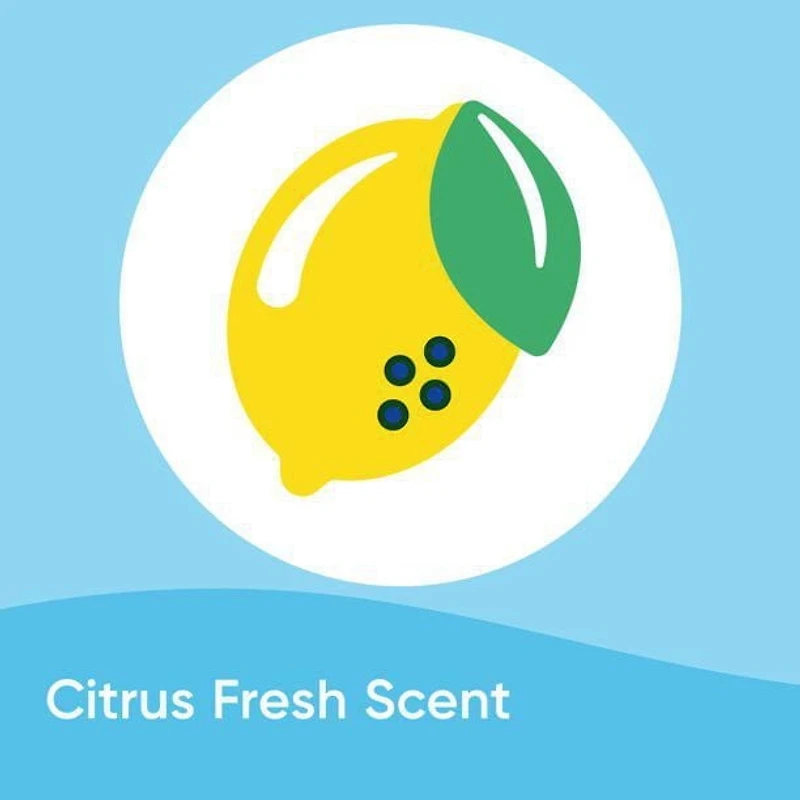 Windex Multi Surface Nettoyant Antibactérien Désinfectant 950 mL