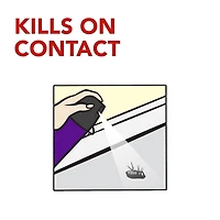 Raid Max Spider Blaster Insect Killer Spray, Kills Bugs on Contact, For Indoor and Outdoor Use, 500g