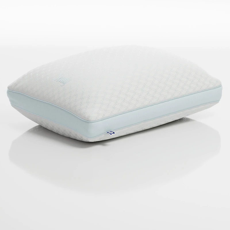 Sealy Cooling Extra Firm Support Cool Touch Bed Pillow, Queen, Machine Washable Bed Pillow