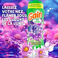 Gain In-Wash Laundry Scent Booster, Moonlight Breeze Scent, 379 g, Fresh Extender + Odour Protection, 379G