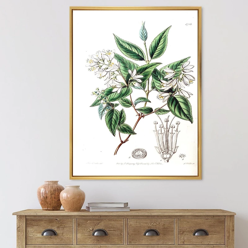 Designart Vintage Botanicals X FLOAT FRAME WALL ART
