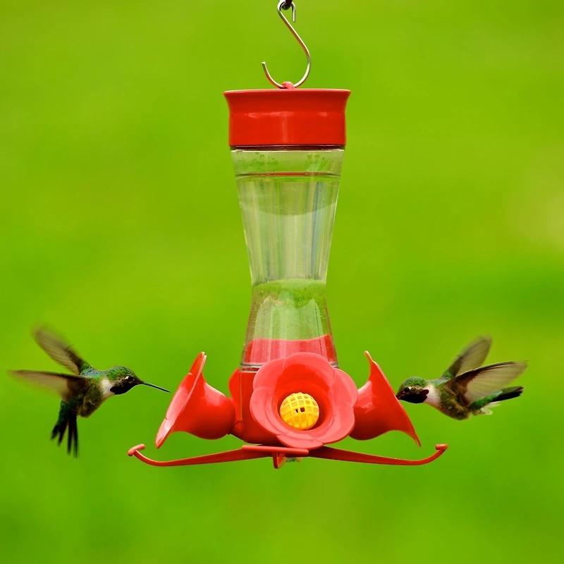 Perky-Pet Pinch Waist Glass Hummingbird Feeder, 8 oz wide mouth bottle