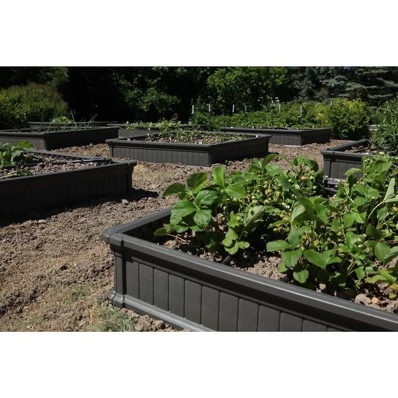 Lifetime Raised Garden Bed (1 Bed, No Enclosure)