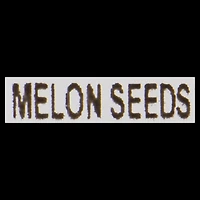 GRAINES DE MELON