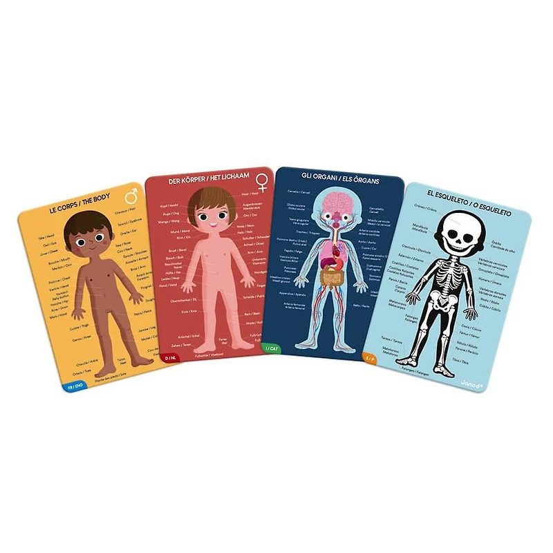 4 IN 1 EDUCATIONAL PUZZLE - HUMAN BODY
