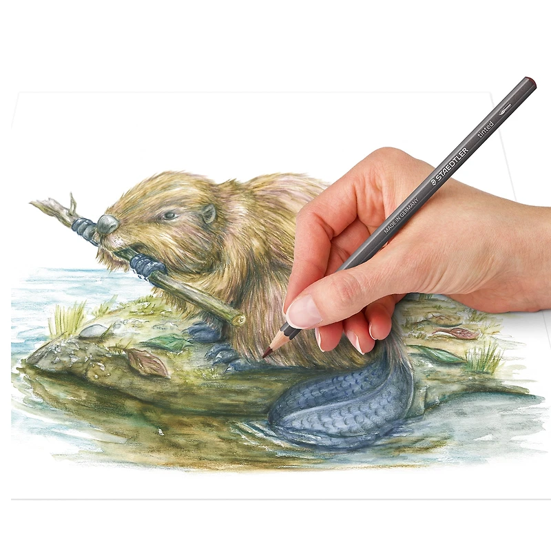 Crayons pour aquarelle teintés de Staedtler 12 couleurs dans une boîte métallique