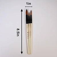 North Shore's 3 piece paint brush set, Three pieces of paint brushes