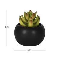 Hometrends Kelvin Succulent A