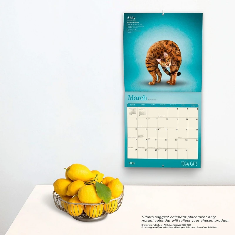 Yoga Cats OFFICIAL | 2023 12x24 Inch Square Wall Calendar