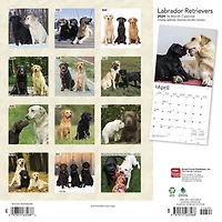 BrownTrout Labrador Retrievers 2024 12x24 Inch Square Wall Calendar, 9781975463588
