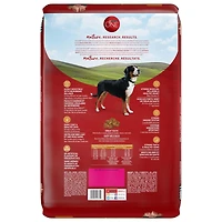 Purina ONE Chicken & Rice Formula, Dry Dog Food, 3.6-17.5 kg