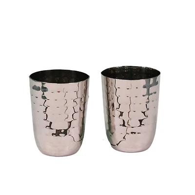 Verka Stainless Steel Tumbler 2-Piece Set, 19 oz, Stainless Steel Tumbler 2-Piece Set