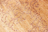 ECARPETGALLERY Tapis Noué à la Main pour Salon, Salle à Manger et Chambre à Coucher Style décontracté Collection Jules Oushak 4'10" x 7'11" en Mangue