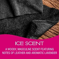 California Scents Palms Ice Paper Car Air Freshener, Palms Ice Paper Car Air