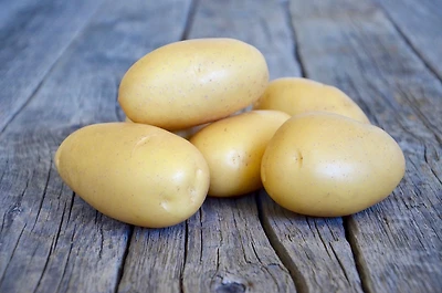 Pomme de terre Queen Anne Pomme de terre Queen Anne 1 KG