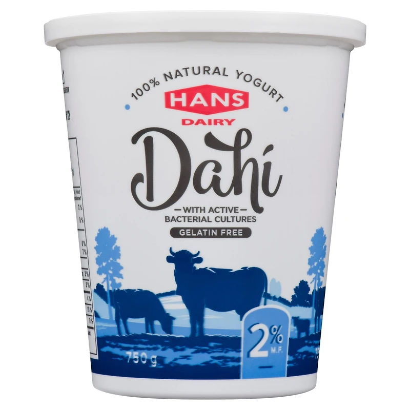 Yogourt nature Dahi de Hans Dairy à 2 % M.G.