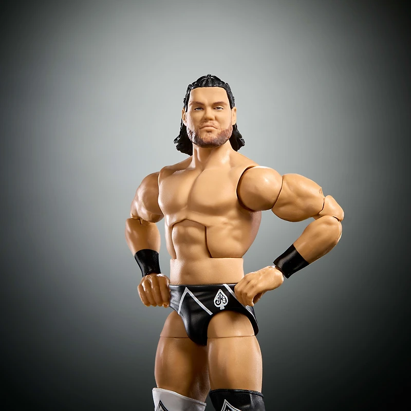 Ensemble de figurines en direct de la WWE Elite Elite Collection, collection Survivor Series