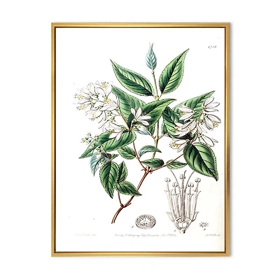 Designart Vintage Botanicals X FLOAT FRAME WALL ART