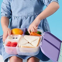 b.box - 5-Compartment Bento Style Lunch Box for Kids, Toddlers, Children, BPA-Free Food Storage Container with Cooler Pack, ON-The-GO Food Box with Handles Included Custom Divider
