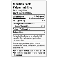 Canada Dry® Ginger Ale 222 mL Mini-Cans, 6 Pack, 6 x 222 mL