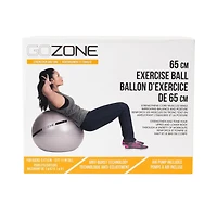 GoZone Exercise Ball, Hand pump included