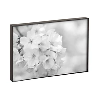 Slimline 4x6 2pk Black Tabletop Picture Frame Set