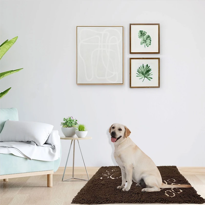Vibrant Life Medium Pet Rug, Pet Rug