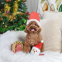 Hugsmart Super Ball Père Noël Jouet pour chien en peluche