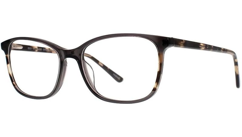 Flat Earth FE6931 Smoke Crystal Eyeglass Frame
