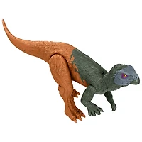 Coffret figurine de dinosaure Iani Meute Enragée de JurassicWorld: Renaissance, jouet original, jeu numérique